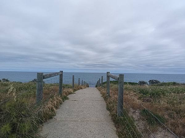 24OCT 西澳 曼德拉 Mandurah (海濱巨人步道.