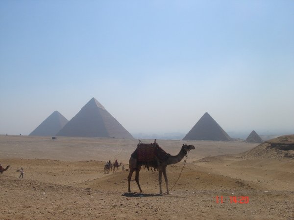 07 0604 egypt 726.jpg