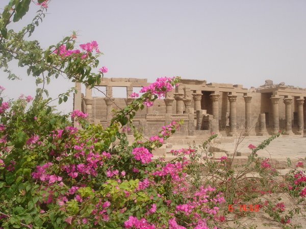 07 0604 egypt 165.jpg