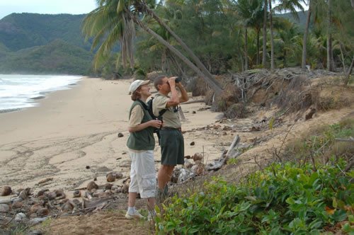 thala beach bird2.jpg