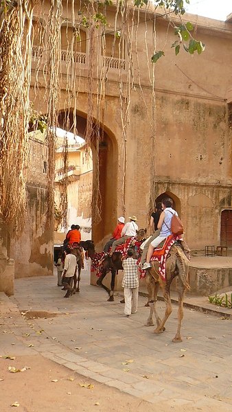 Samode Palce(Camel ride).JPG