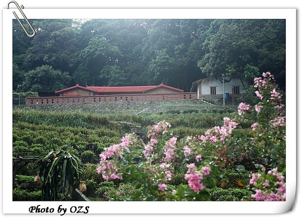 照片 031.jpg