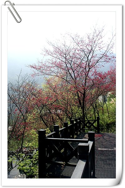 照片 051.jpg