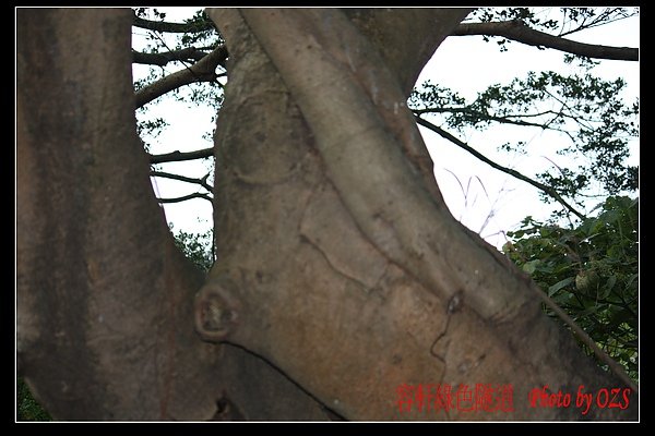 照片 066.jpg
