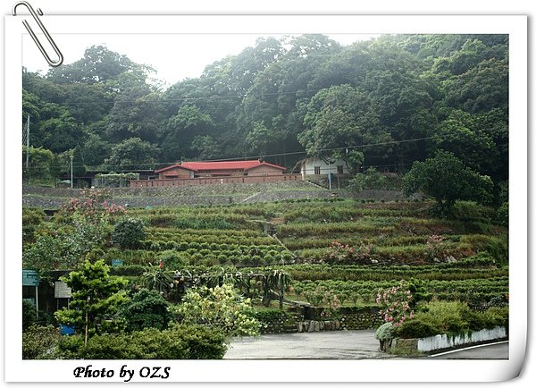 照片 022.jpg