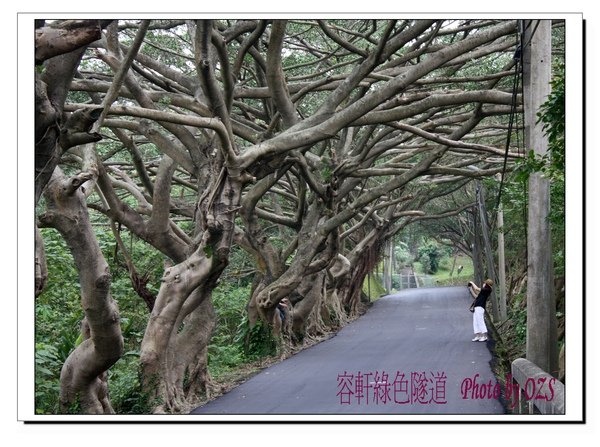 照片 107.jpg