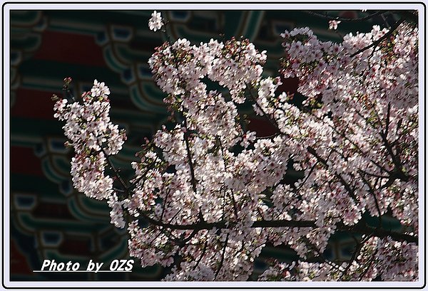 照片 332-1.jpg