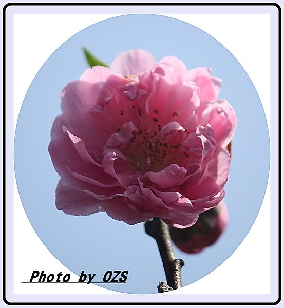 照片 080.jpg