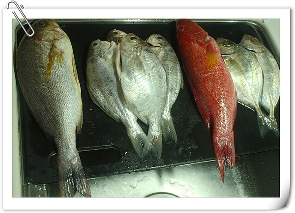照片 190.jpg