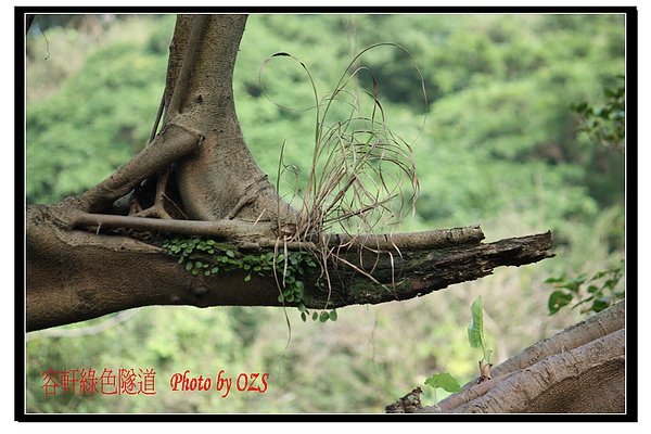 照片 047.jpg