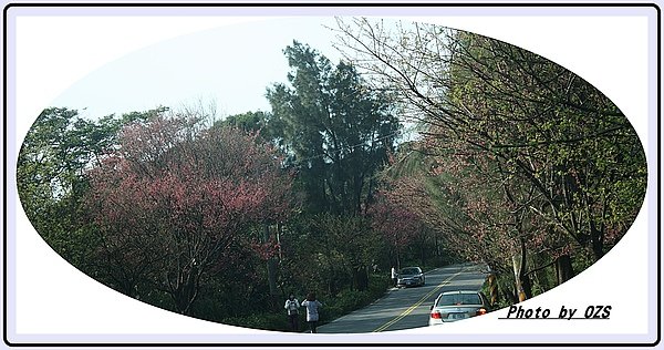 照片 080.jpg