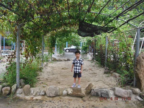 照片 030.jpg