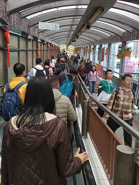 2025 0130 香港行2 海洋公園及逛大街