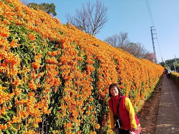 IMG20200123153221.jpg