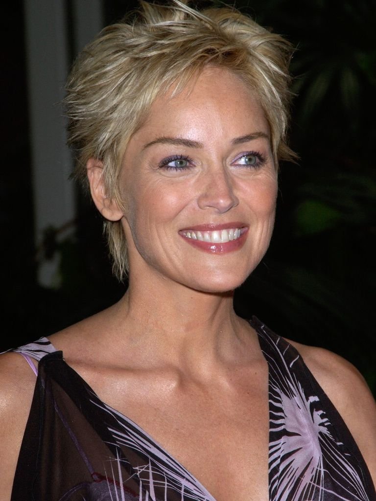 533 Sharon Stone 莎朗．史東 (1958年 美國演員、製片人、模特)06