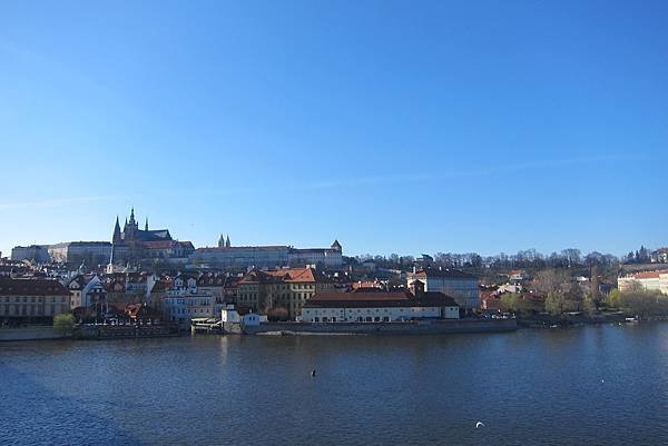 IMG_8214.JPG
