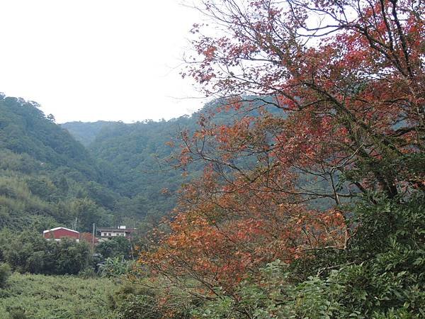 DSCN8730