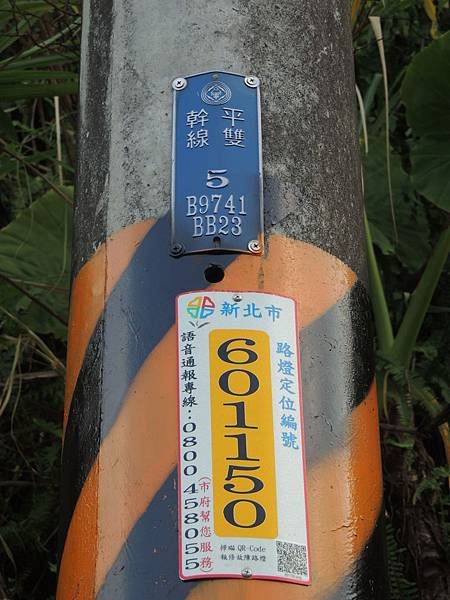 DSCN9874