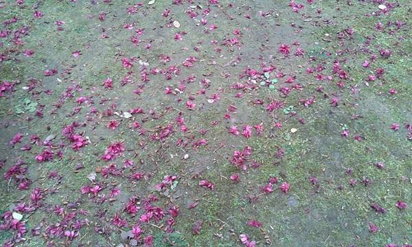 20170207_163236.jpg