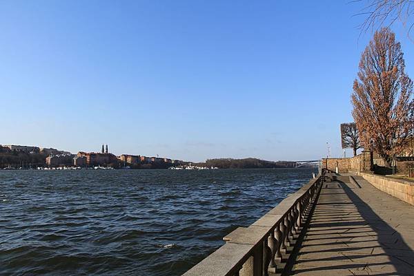 IMG_7878
