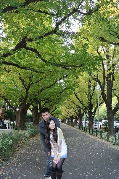 20131108明治神宮外苑銀杏並木41.JPG