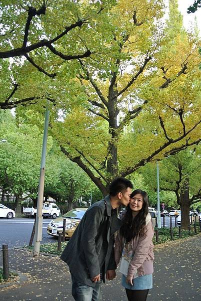 20131108明治神宮外苑銀杏並木30.JPG