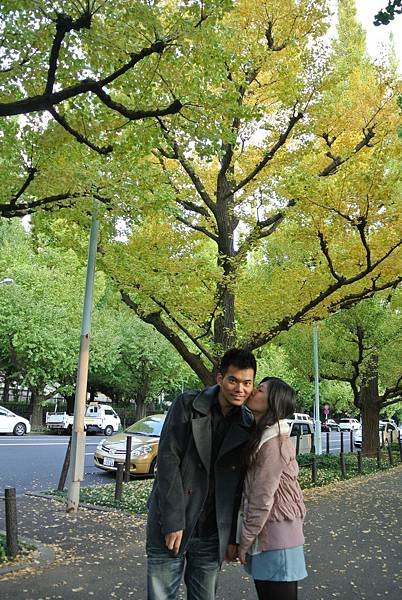 20131108明治神宮外苑銀杏並木29.JPG