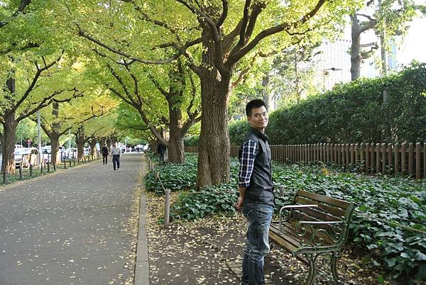 20131108明治神宮外苑銀杏並木23.JPG