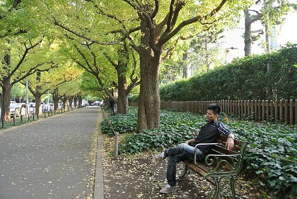 20131108明治神宮外苑銀杏並木20.JPG