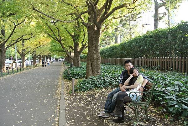 20131108明治神宮外苑銀杏並木18.JPG