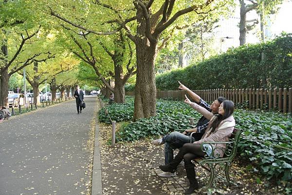 20131108明治神宮外苑銀杏並木16.JPG
