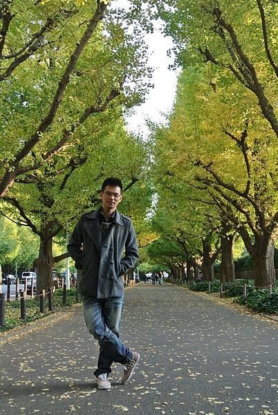 20131108明治神宮外苑銀杏並木15.JPG