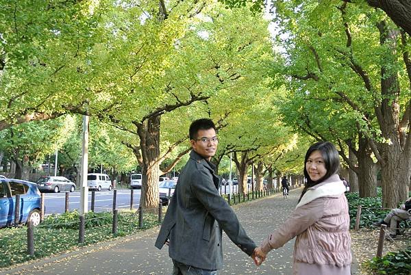 20131108明治神宮外苑銀杏並木11.JPG