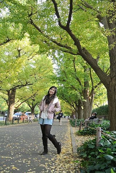 20131108明治神宮外苑銀杏並木09.JPG