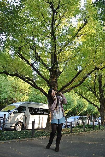 20131108明治神宮外苑銀杏並木08.JPG