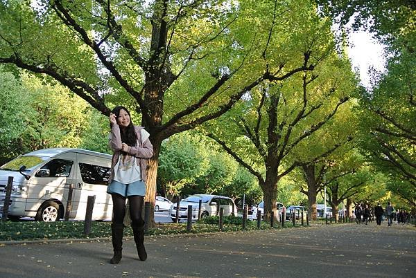 20131108明治神宮外苑銀杏並木07.JPG