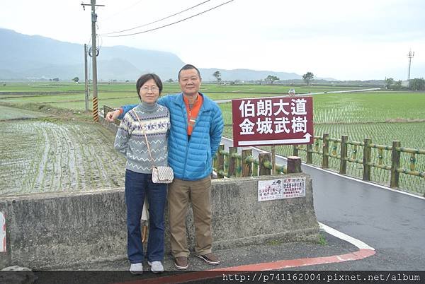 20160313 台東豐源國小+金城武樹+伯朗大道+蘇花 28.JPG