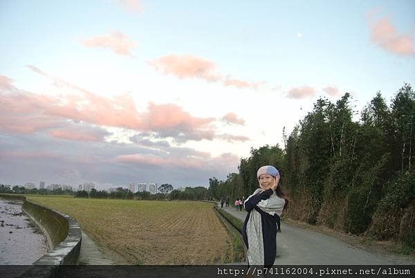 20161211 大溪石園路+八德霄裡里落羽松 50.JPG