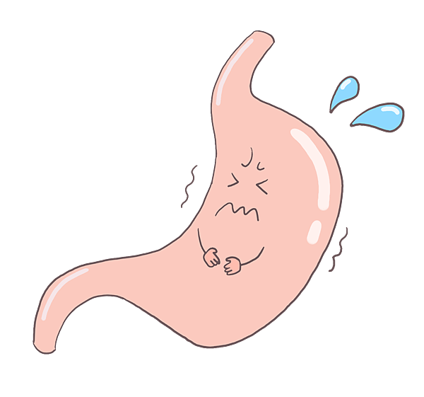 —Pngtree—cartoon human stomach organ_4578449.png