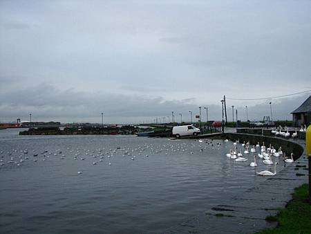 IMG_6871.JPG