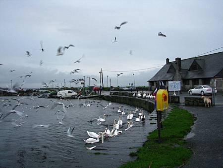 IMG_6873.JPG