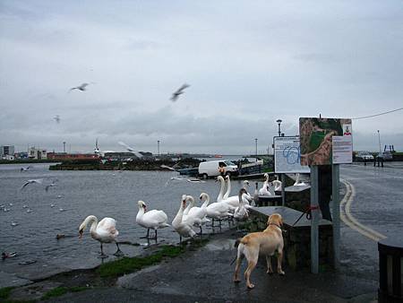 IMG_6876.JPG