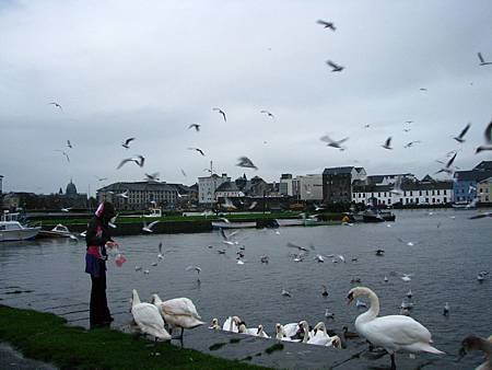 IMG_6877.JPG