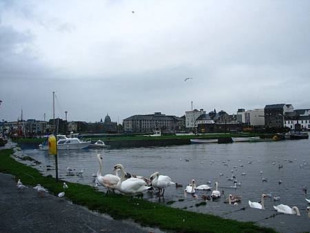 IMG_6879.JPG