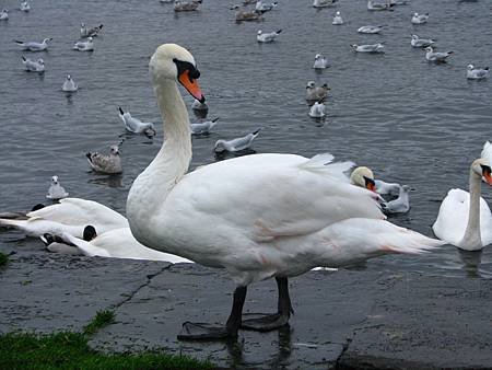 IMG_6880.JPG