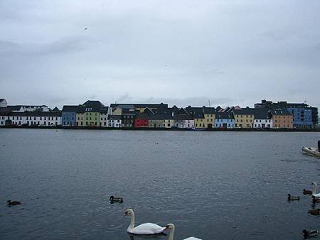 IMG_6881.JPG