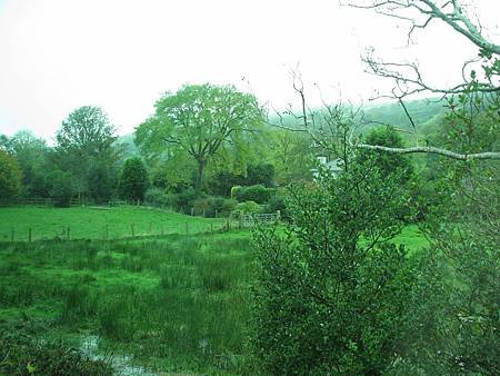 IMG_6298.JPG