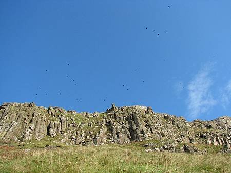 IMG_6336.JPG