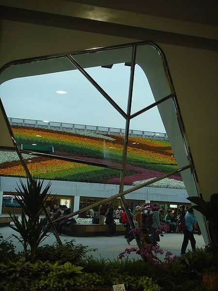 DSC08251.JPG