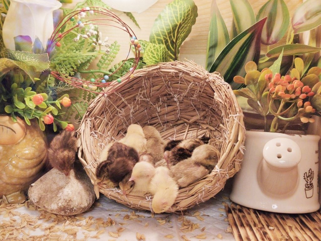 含羞草日記親子樂園-台南仁德店 (18).jpg